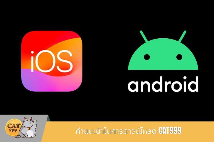 คำแนะนำในการดาวน์โหลด CAT999