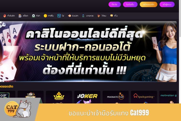 ขอแนะนำเจ้ามือรับแทง Cat999