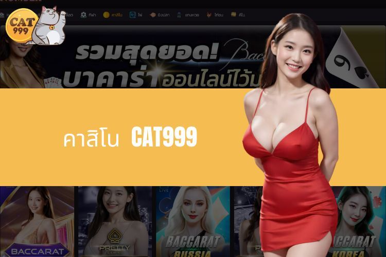 คาสิโน CAT999 - ไดเรกทอรีการเดิมพันที่โดดเด่นที่สุดในตลาดไทย 